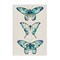 Stupell Industries Classic Butterfly Specimens Canvas Wall Art Design by Christine Zalewski
